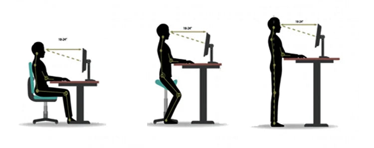 Apex Premium Executive Standing Desk