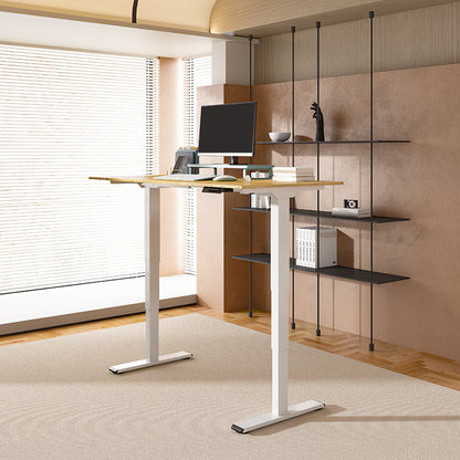 Pro Standing Desk — Frame Only (E5)