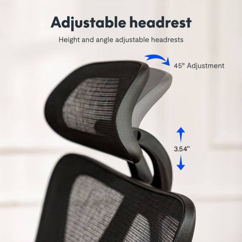 Ergonomic Standard Office Chair (C5)