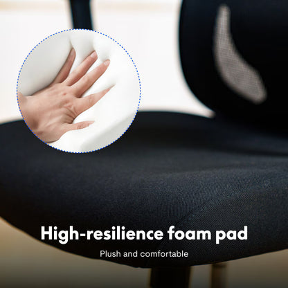 Ergonomic Standard Office Chair (C5)