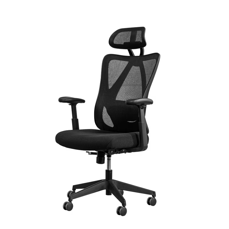 Ergonomic Standard Office Chair (C5)