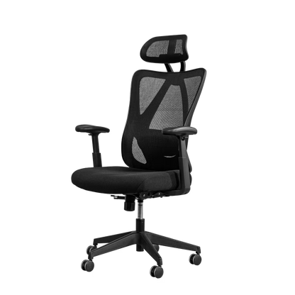 Ergonomic Standard Office Chair (C5)