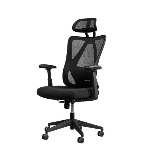 Ergonomic Standard Office Chair (C5)