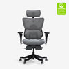 Premium Ergo Office Chair (C7 Max)