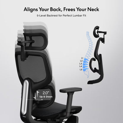 Premium Ergonomic Office Chair (C7)