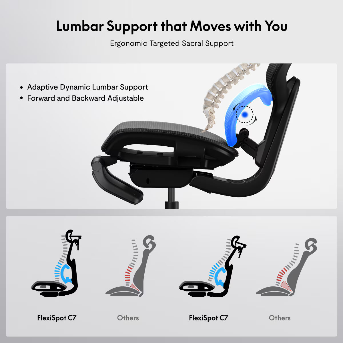 Premium Ergonomic Office Chair (C7)