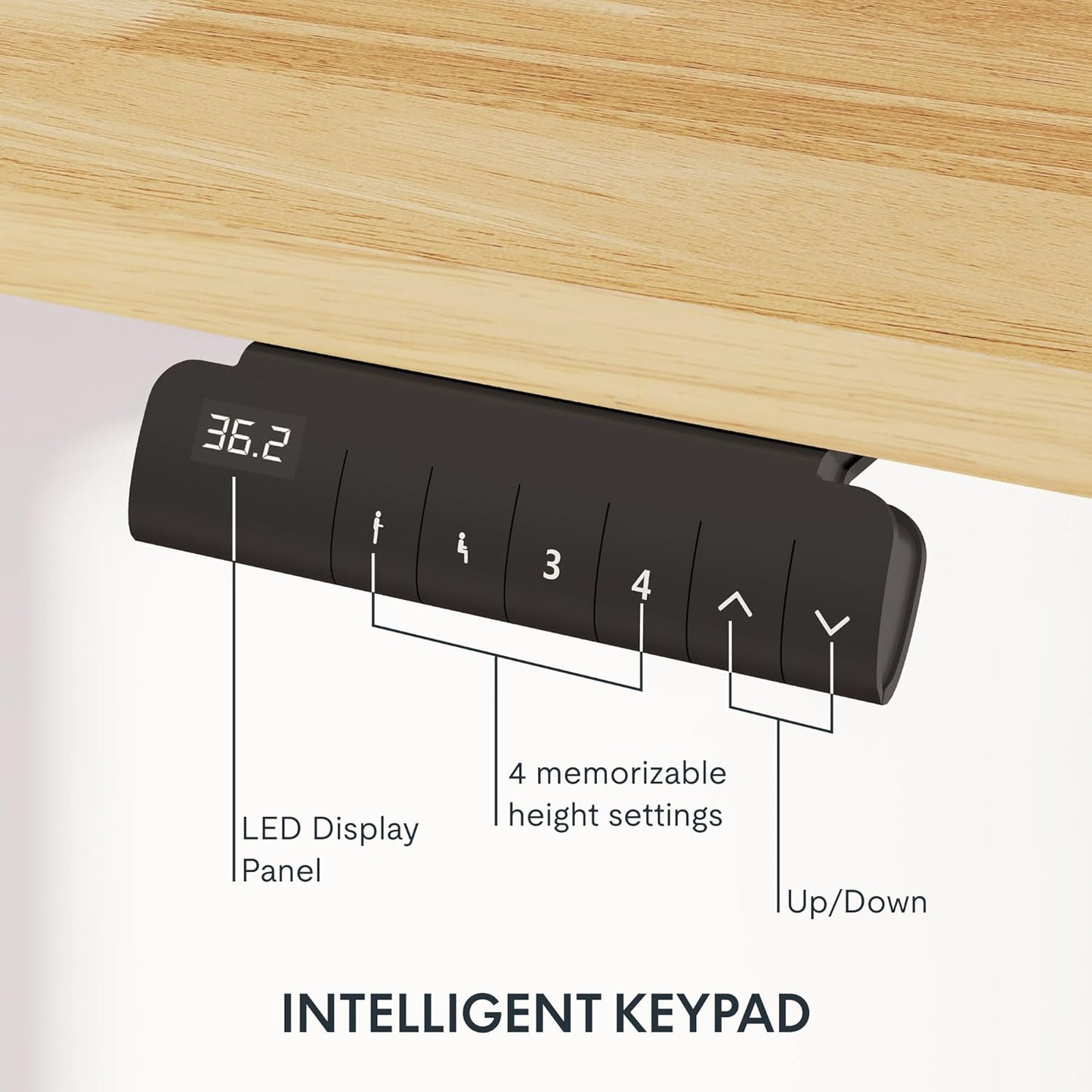E6 55 x 24 Electric Standing Desk
