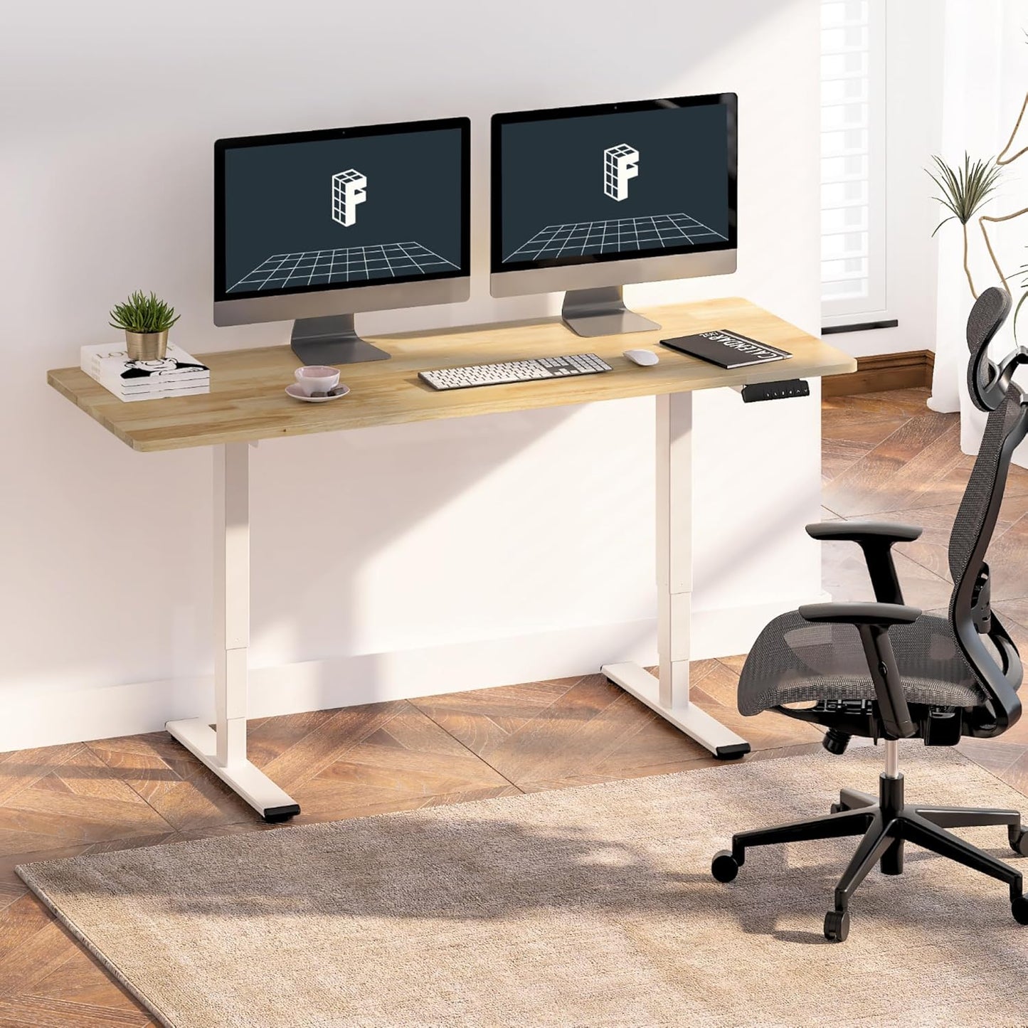 E6 55 x 24 Electric Standing Desk