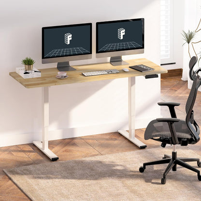 E6 55 x 24 Electric Standing Desk