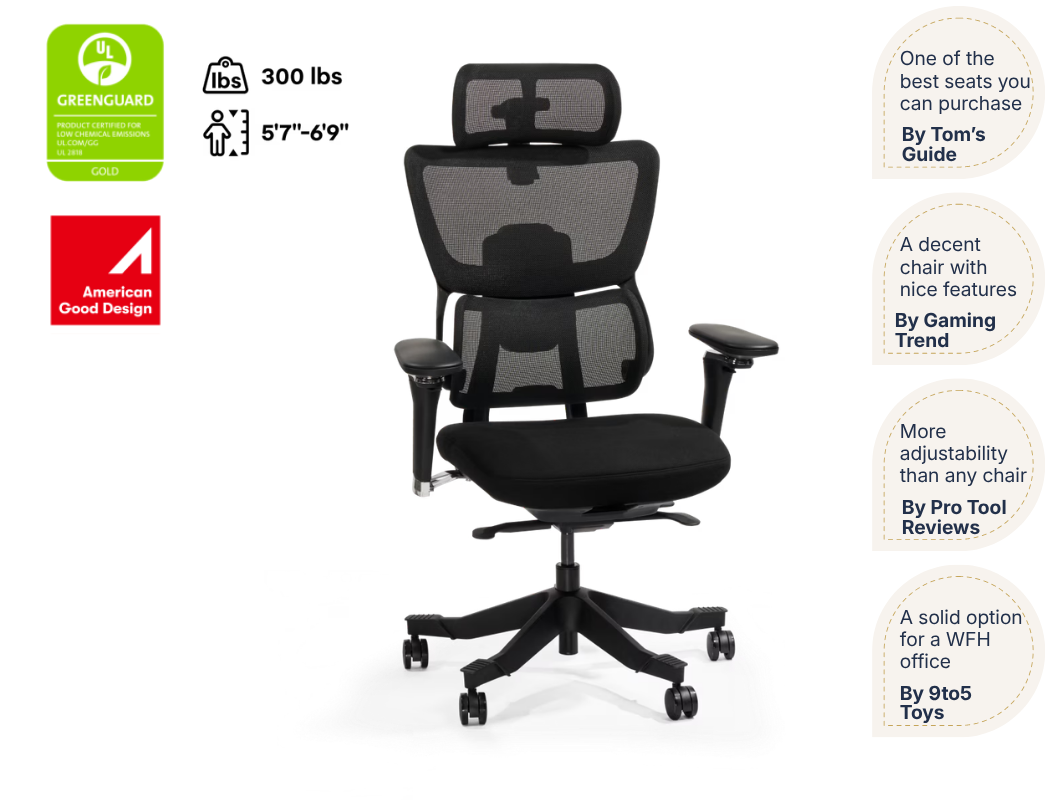 Premium Ergo Office Chair (C7 Max)