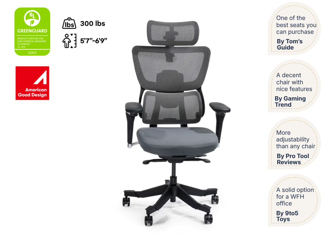 Premium Ergo Office Chair (C7 Max)
