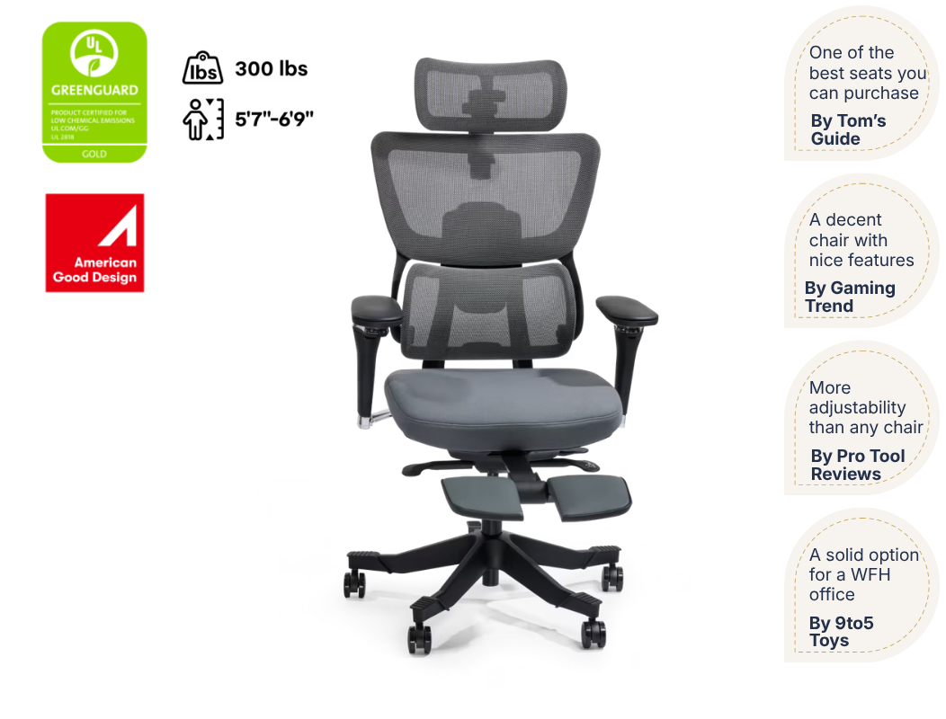 Premium Ergo Office Chair (C7 Max)