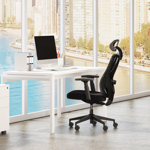 Ergonomic Standard Office Chair (C5)