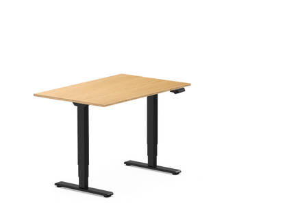 Pro Standing Desk — Bamboo (E5)
