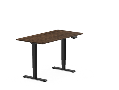 Pro Standing Desk — Bamboo (E5)