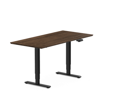 Pro Standing Desk — Bamboo (E5)
