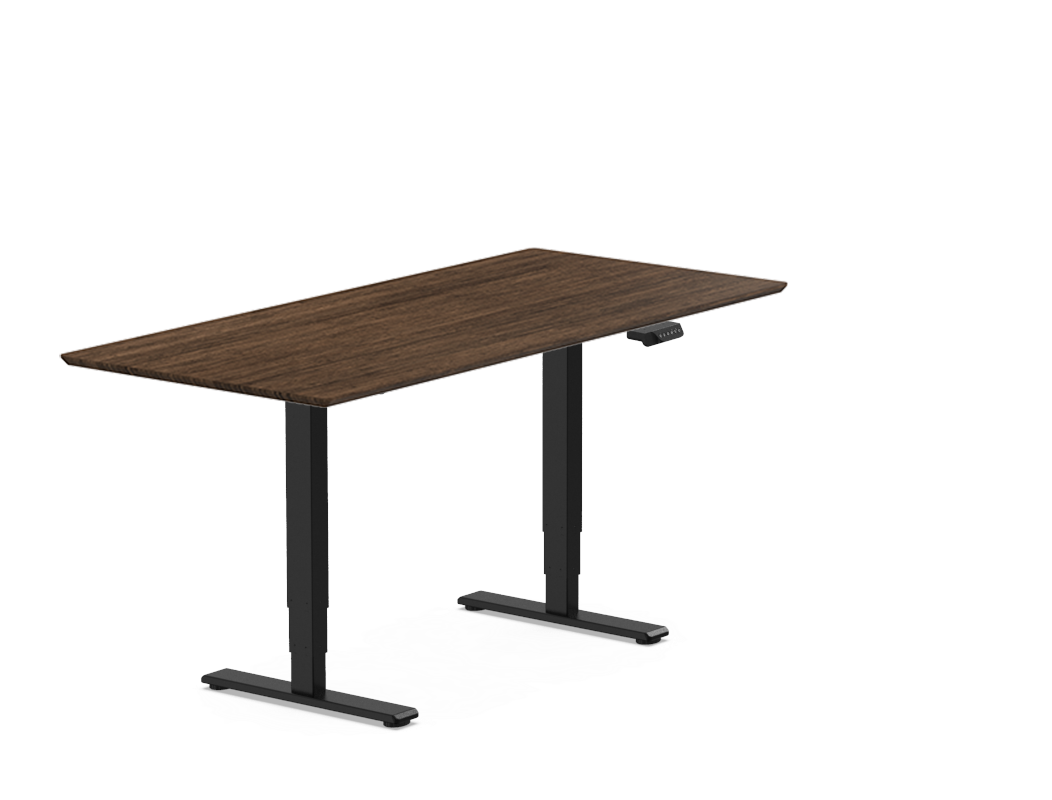 Pro Standing Desk — Bamboo (E5)