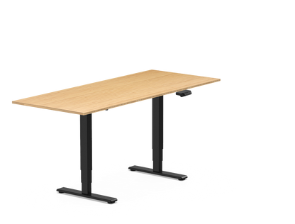 Pro Standing Desk — Bamboo (E5)