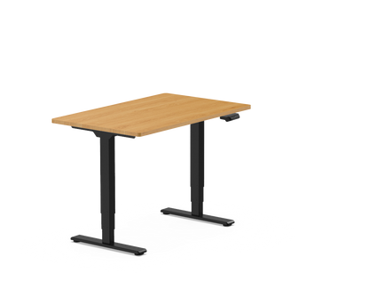 Pro Standing Desk — Chipboard (E5)