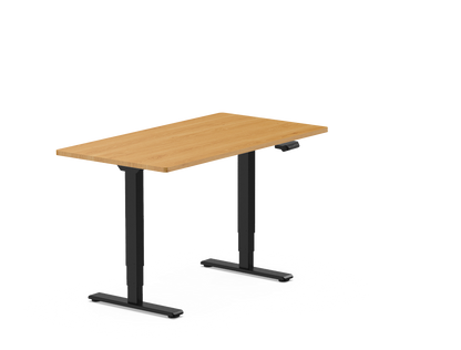 Pro Standing Desk — Chipboard (E5)