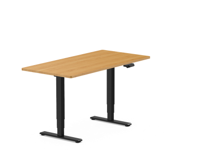 Pro Standing Desk — Chipboard (E5)