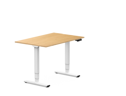 Pro Standing Desk — Bamboo (E5)