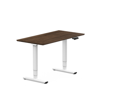 Pro Standing Desk — Bamboo (E5)