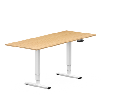 Pro Standing Desk — Bamboo (E5)