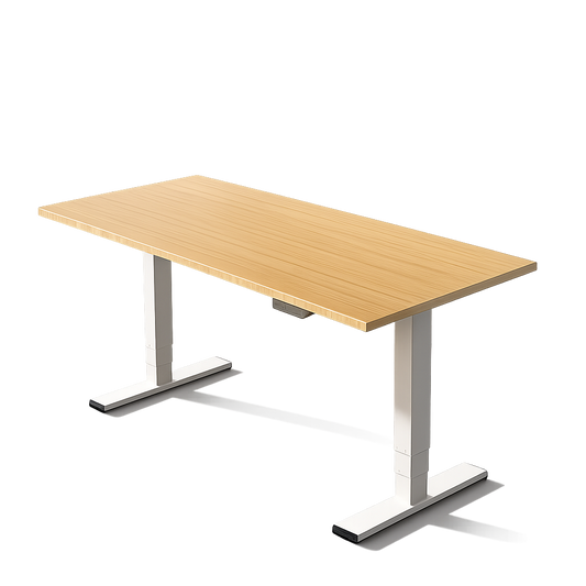 E6 MAX Heavy Duty Standing Desk