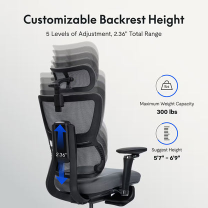 Premium Ergo Office Chair (C7 Max)