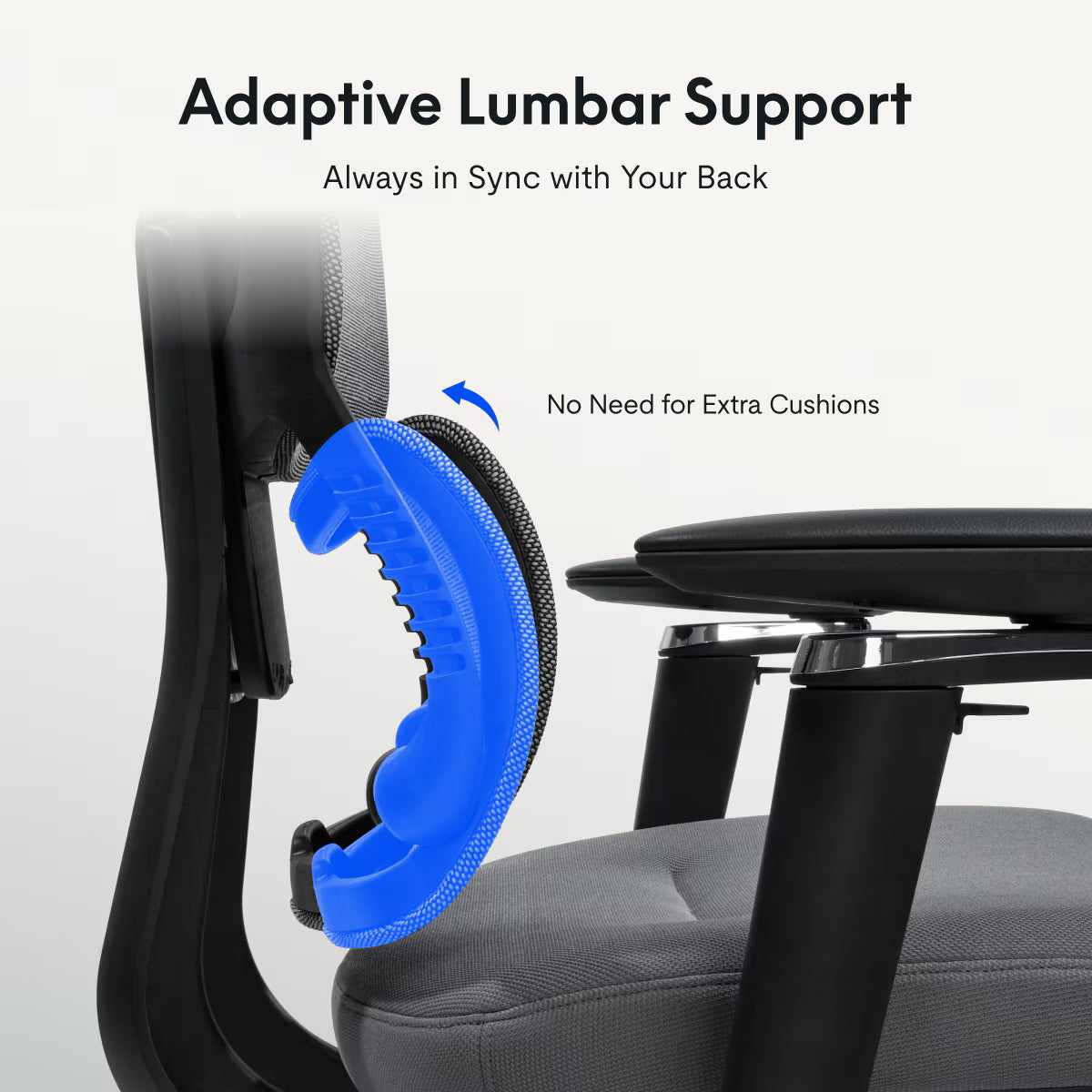 Premium Ergo Office Chair (C7 Max)