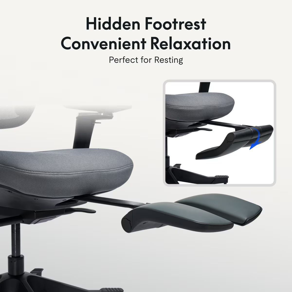 Premium Ergo Office Chair (C7 Max)