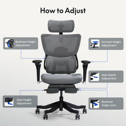 Premium Ergo Office Chair (C7 Max)