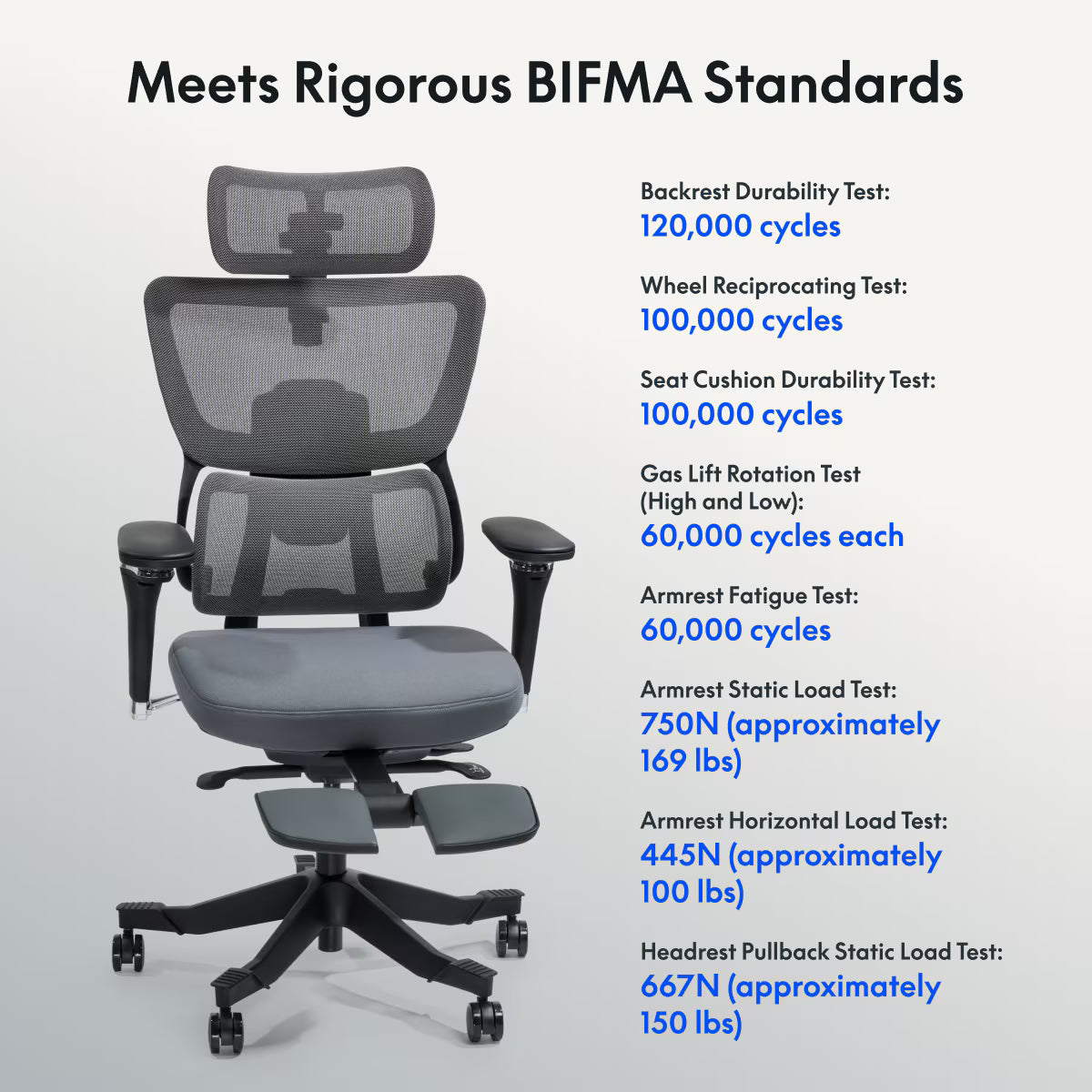 Premium Ergo Office Chair (C7 Max)