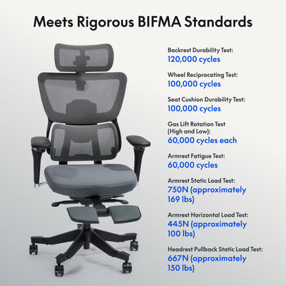 Premium Ergo Office Chair (C7 Max)
