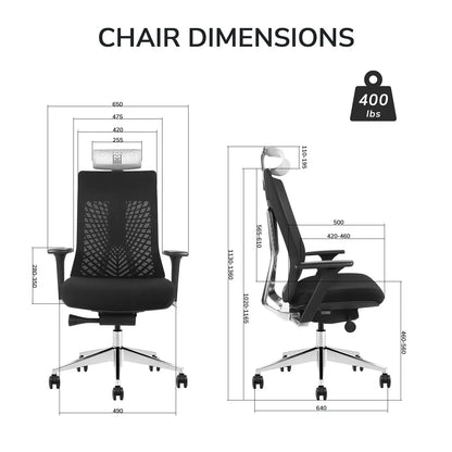 Apex Executive Ergonomic Office Chair - CEO Task Manager