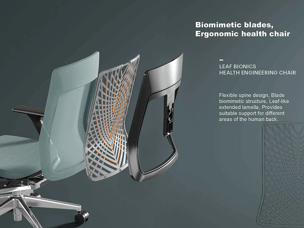 Apex Executive Ergonomic Office Chair - CEO Task Manager
