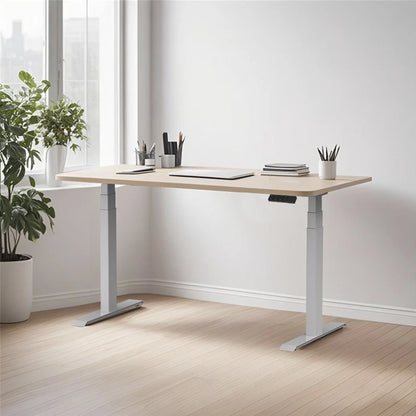 Apex Dual Motor Electric Standing Desk with Anti-Collision