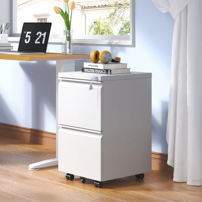Apex Modern 2-Drawer Lockable Mobile Steel Filing Cabinet
