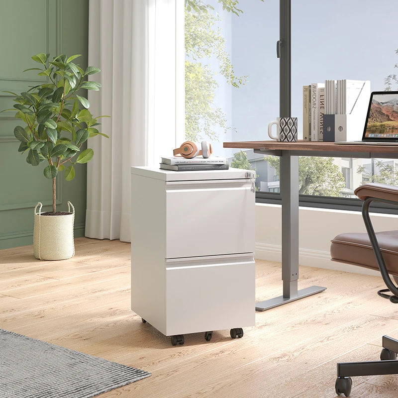 Apex Modern 2-Drawer Lockable Mobile Steel Filing Cabinet