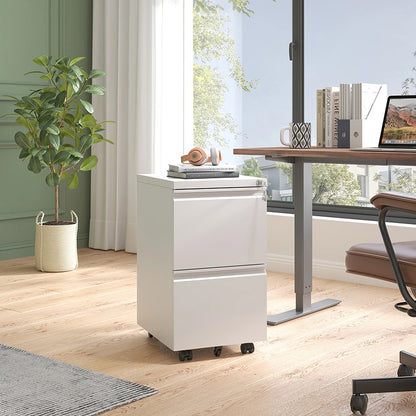 Apex Modern 2-Drawer Lockable Mobile Steel Filing Cabinet