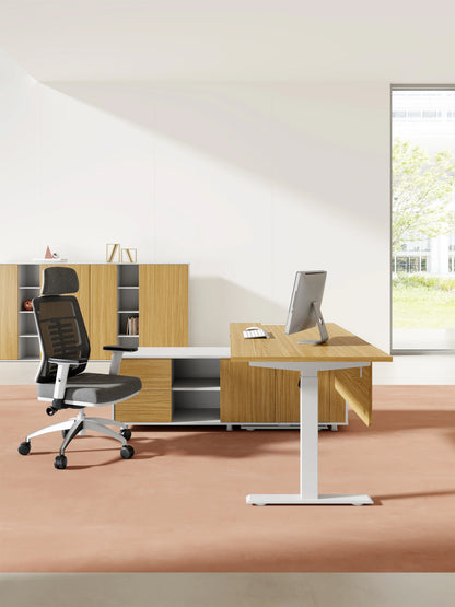 Apex Luxury Executive L-Shaped Standing Desk with Manager Storage