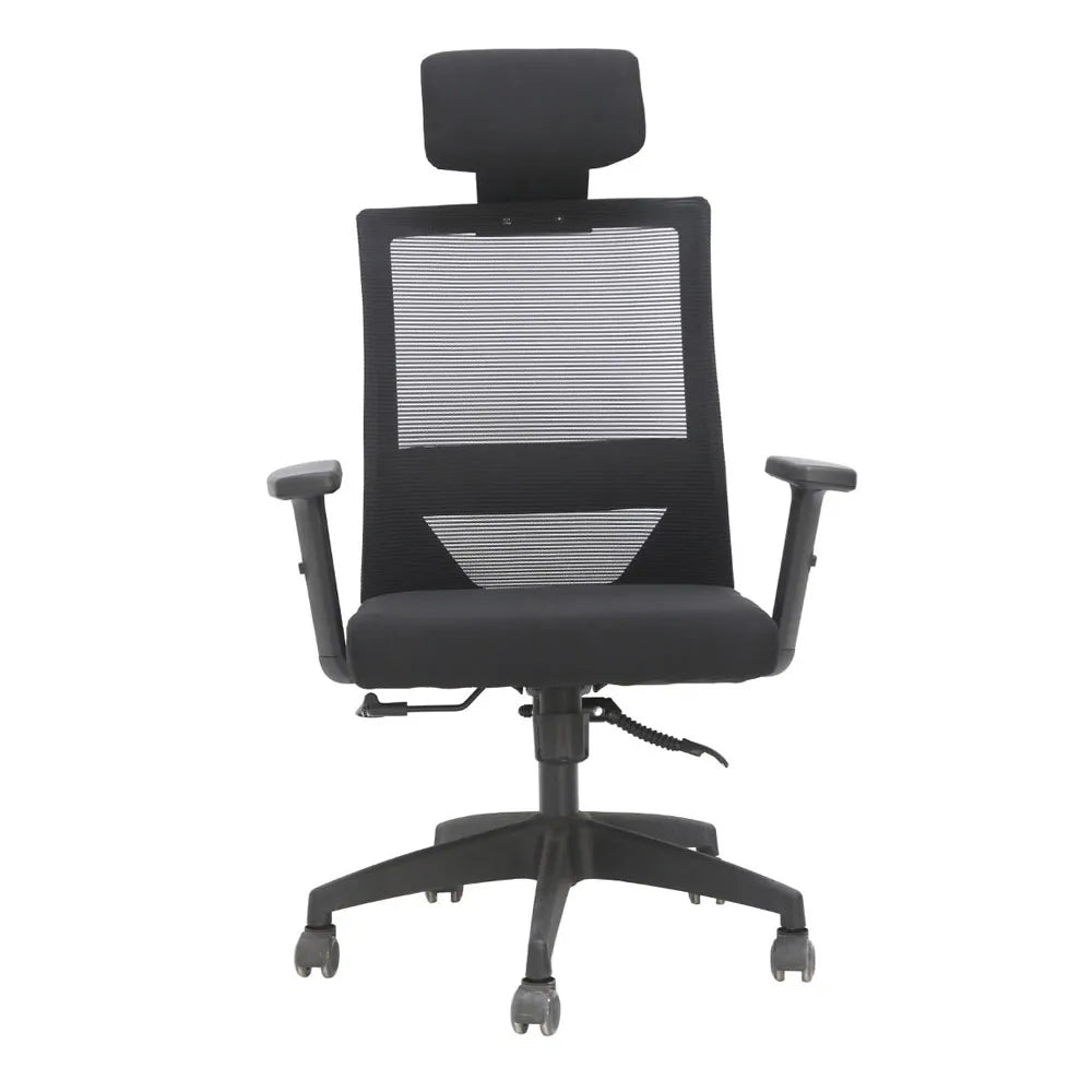 Apex High Back Modern Mesh Office Chair with Adjustable Armrests