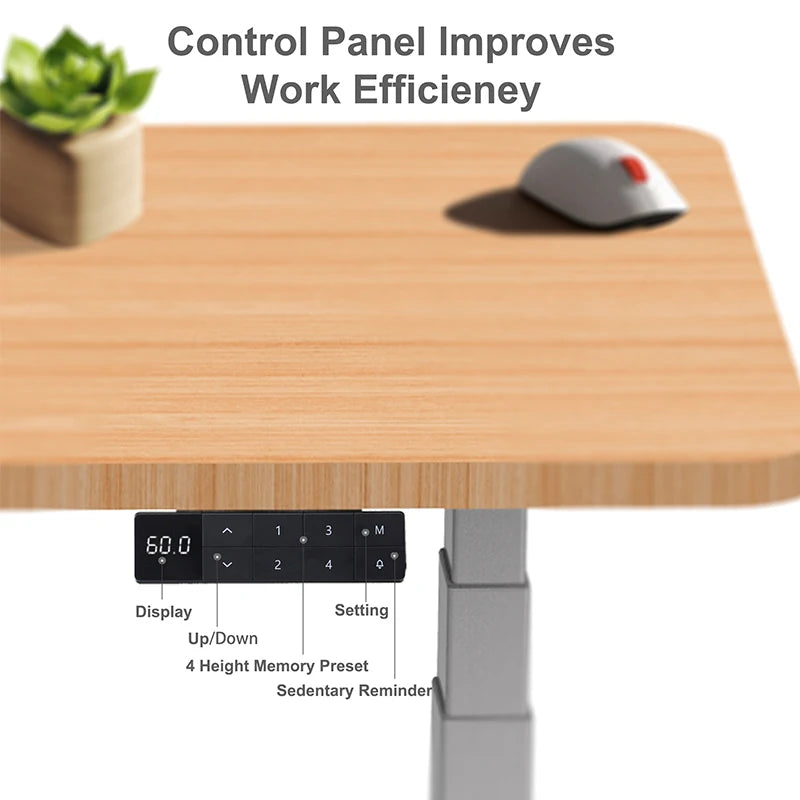 Apex Dual Motor Electric Standing Desk with Anti-Collision