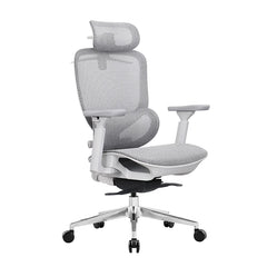 Premium Mesh Office Chair with 4D Headrest & Aluminum Base